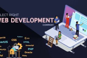 Website Design and Development Agency in Delhi