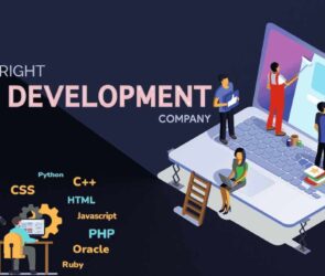 Website Design and Development Agency in Delhi