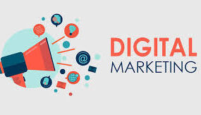 Digital Marketing Company in Delhi