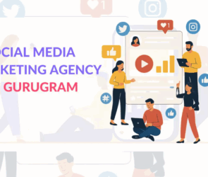 social media marketing agency in gurgaon