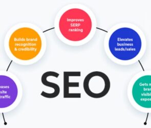 best seo company in gurgaon