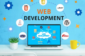 Website Design and Development Agency in Delhi