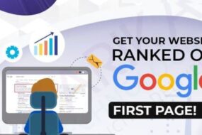 SEO Company in Delhi NCR